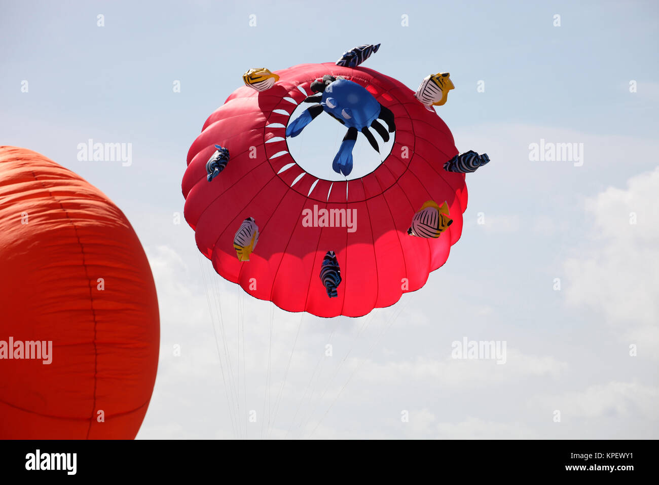 Kite am Strand Stockfoto