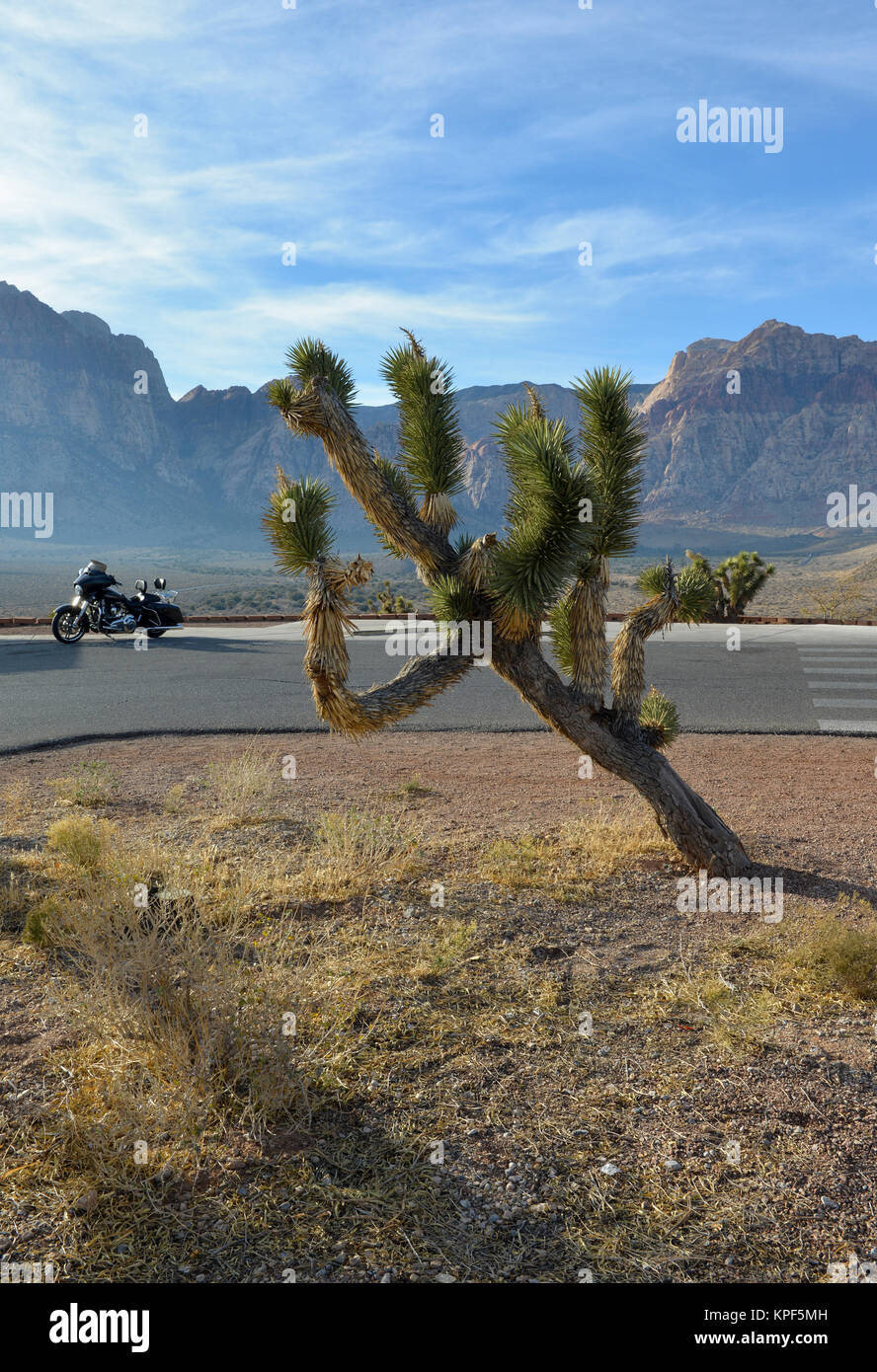 Red Rock Park, Nevada Landschaft mit Wüste, Straße, Motorrad und Berge Stockfoto