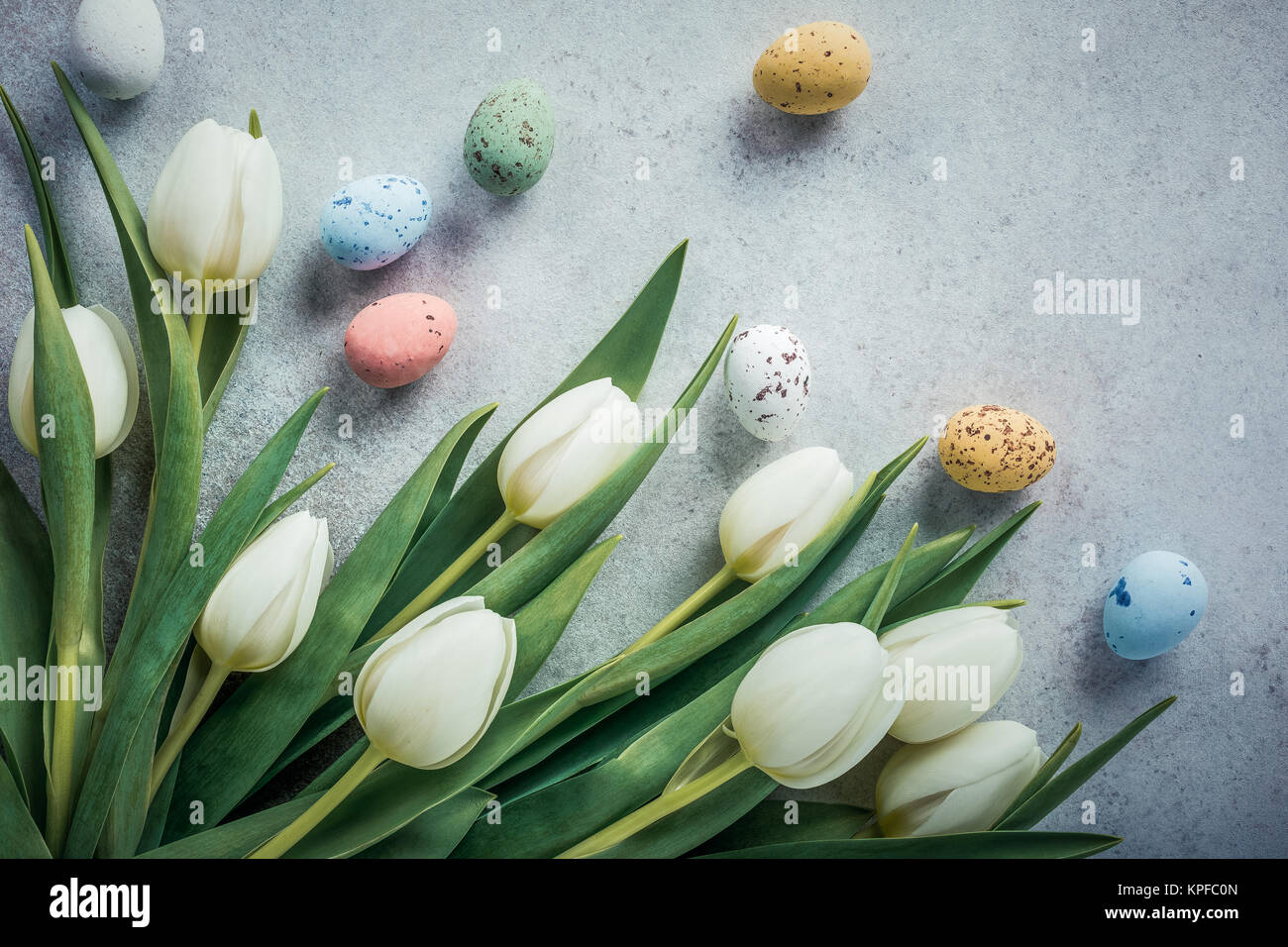 Frühling und Ostern Hintergrund. Weiße Tulpen mit bunten Wachteleier. Urlaub Konzept mit kopieren. Stockfoto