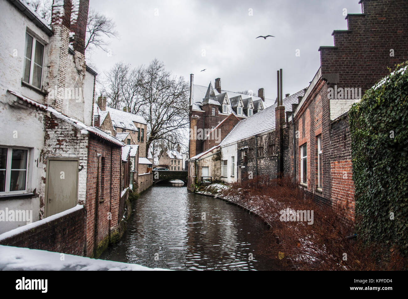 Brugge Canal, schneit Tag, Brügge, Flandern, Belgien. Stockfoto