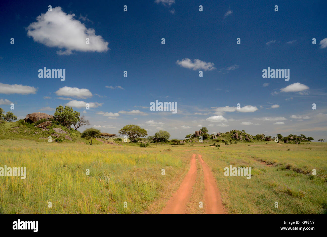 Wildlife Sightseeing in einer der Tierwelt Reiseziele auf earht - Serengeti, Tansania. Dirt Road in der Nähe der Masaai Kopjes. Stockfoto