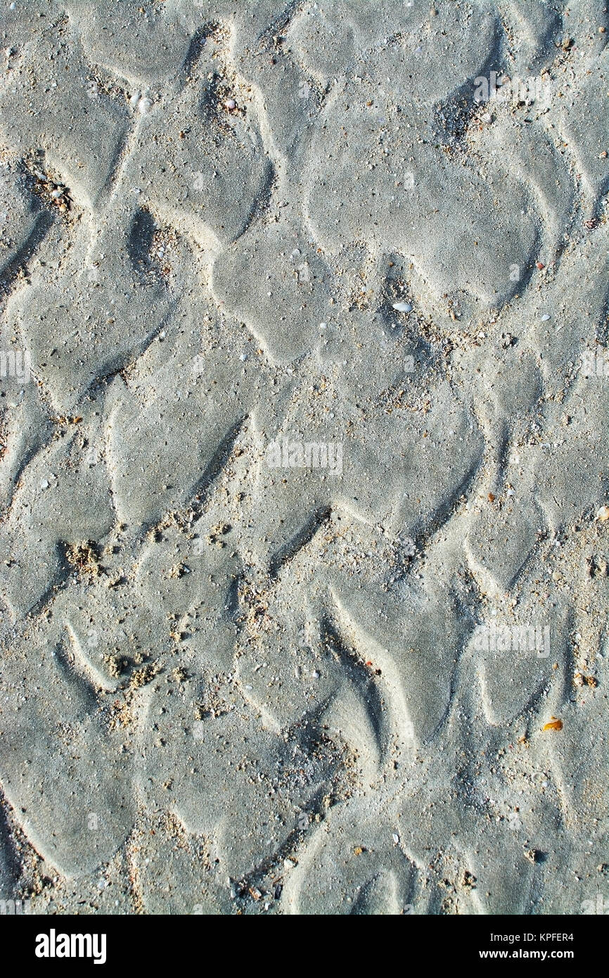 Natürlicher Sand Hintergrund Textur muster drucken Oberfläche auf der Winter Strand in Mallorca, Balearen, Spanien Stockfoto