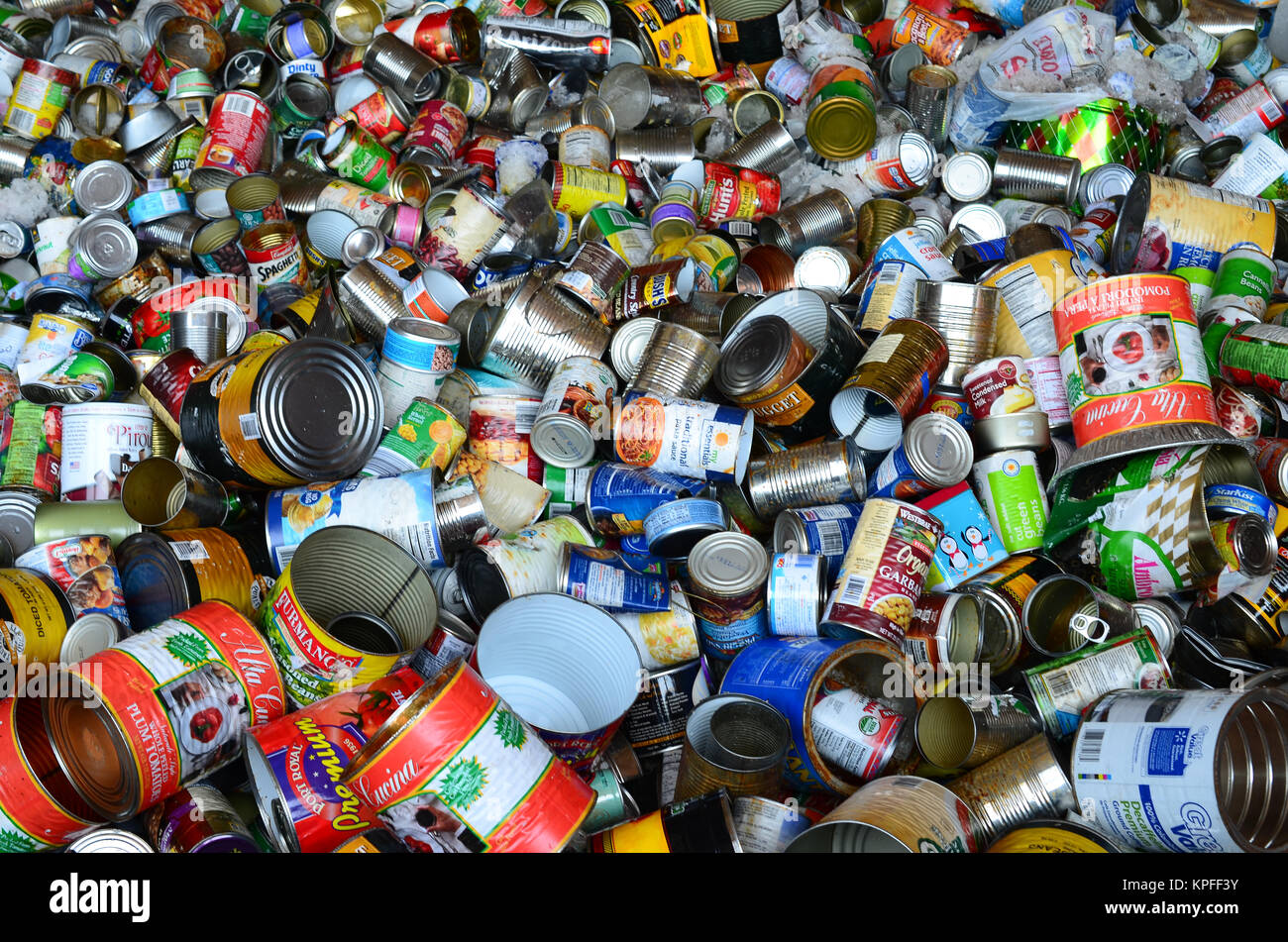 Bin voller leerer Dosen für das Recycling in Lake Pleasant, NY, USA Stockfoto