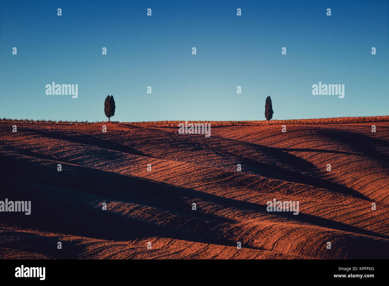 Toskana Landschaft von Wave-Feld und Zypressen Bäume - Toskana natur, Pienza, Italien, Europa. Stockfoto