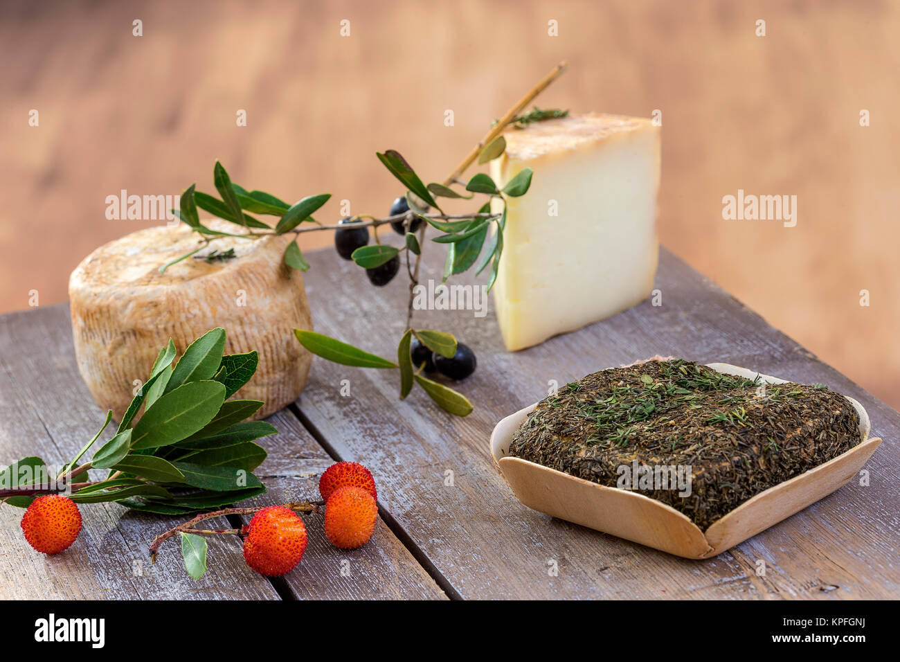 Korsische traditionelle verschiedene Ziegenkäse mit arbitys Bayberry s auf woodenbackground Stockfoto