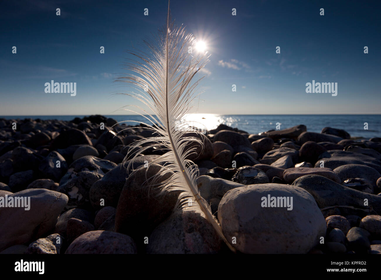 Ständigen Frühling auf der felsigen Strand der Ostsee in der sonnigen Gegenlicht der Sonne. Stern Sonne und blauen Himmel mit Reflexionen im Meerwasser. Stockfoto
