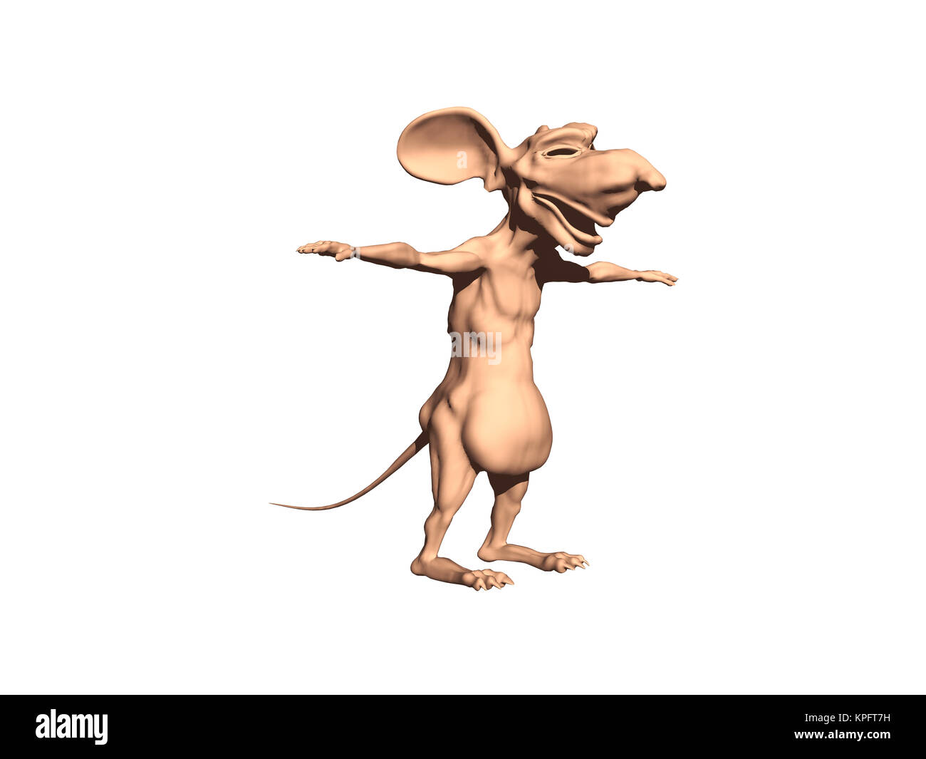 Alte fette Ratte befreit Stockfoto