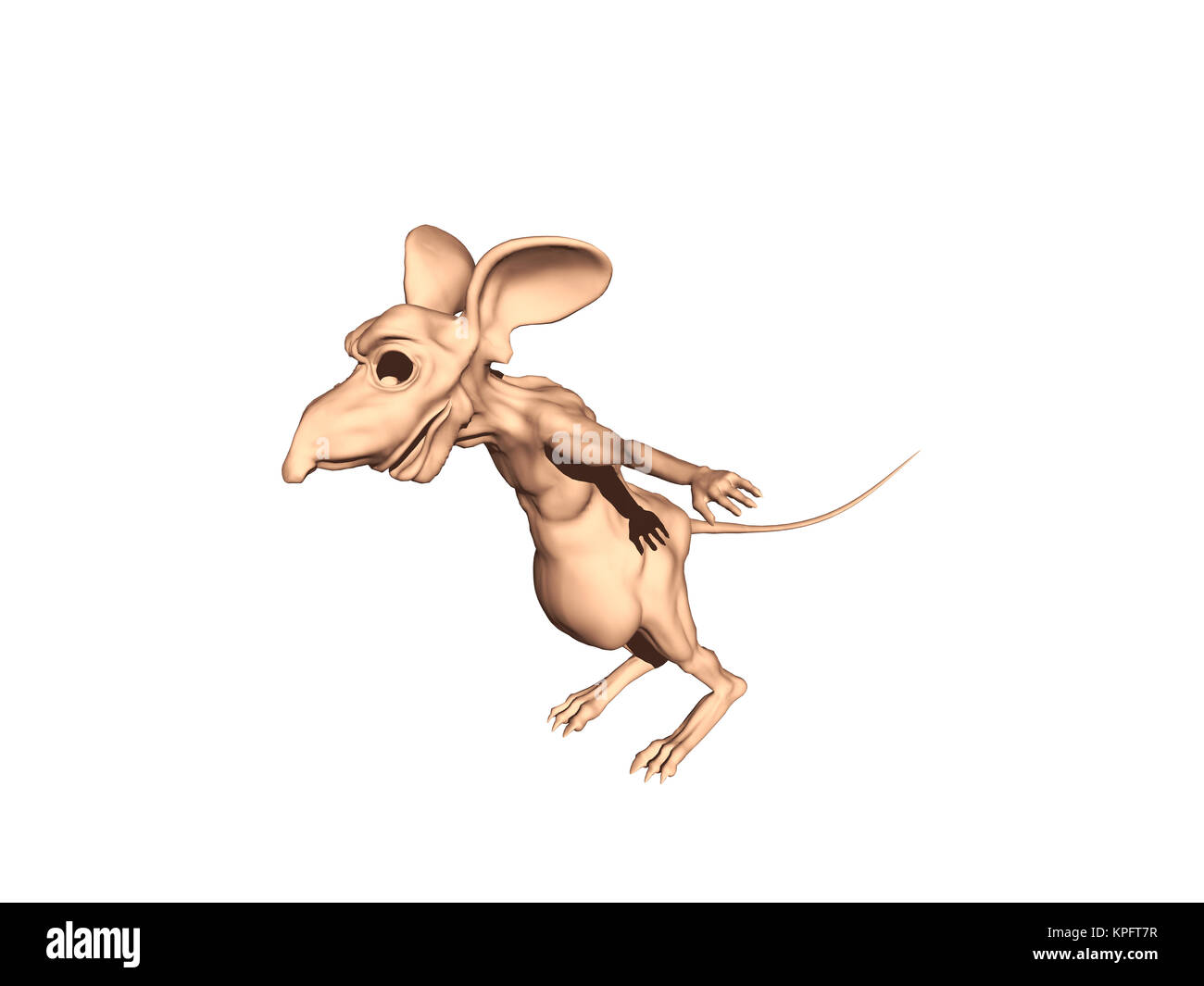 Alte fette Ratte befreit Stockfoto