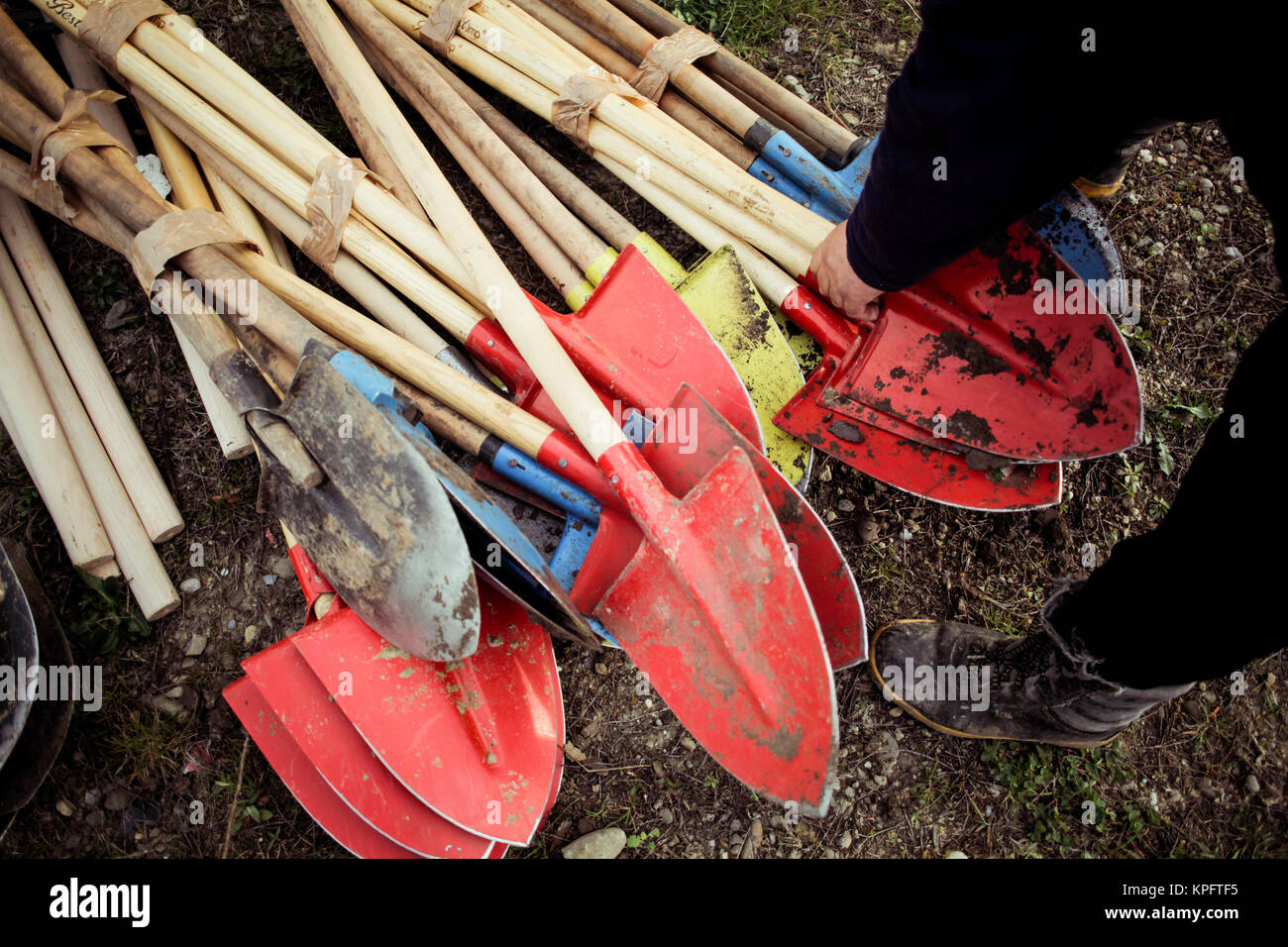 Schaufeln für die Anpflanzung von Bäumen verwendet Stockfoto