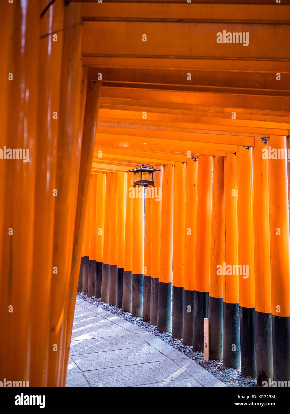 Lampe in der historischen fushimi Inari taisha in Kyoto, Japan Stockfoto