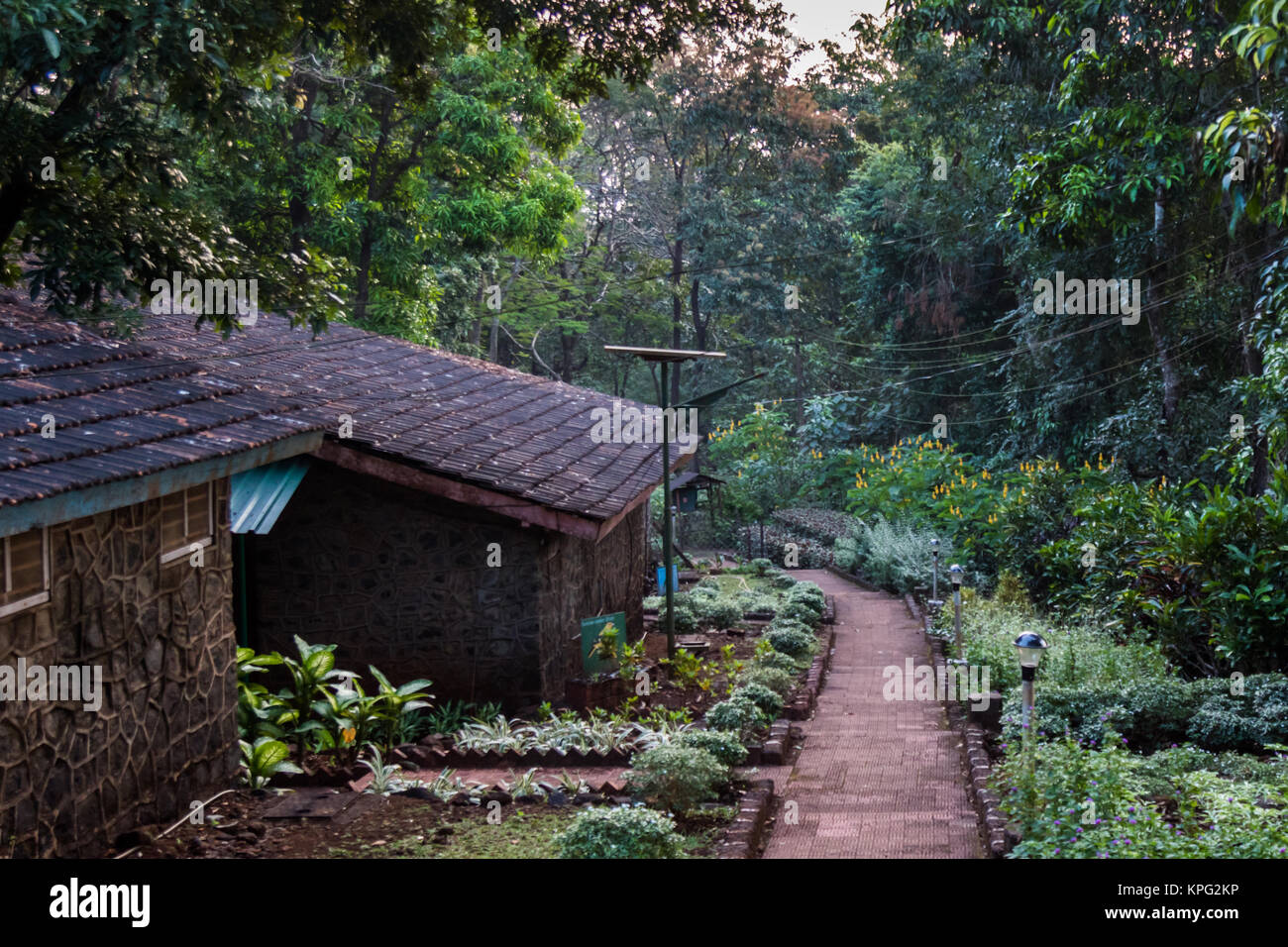 Bondala Wildlife Sanctuary in der Nähe von Panjim, Goa. Stockfoto