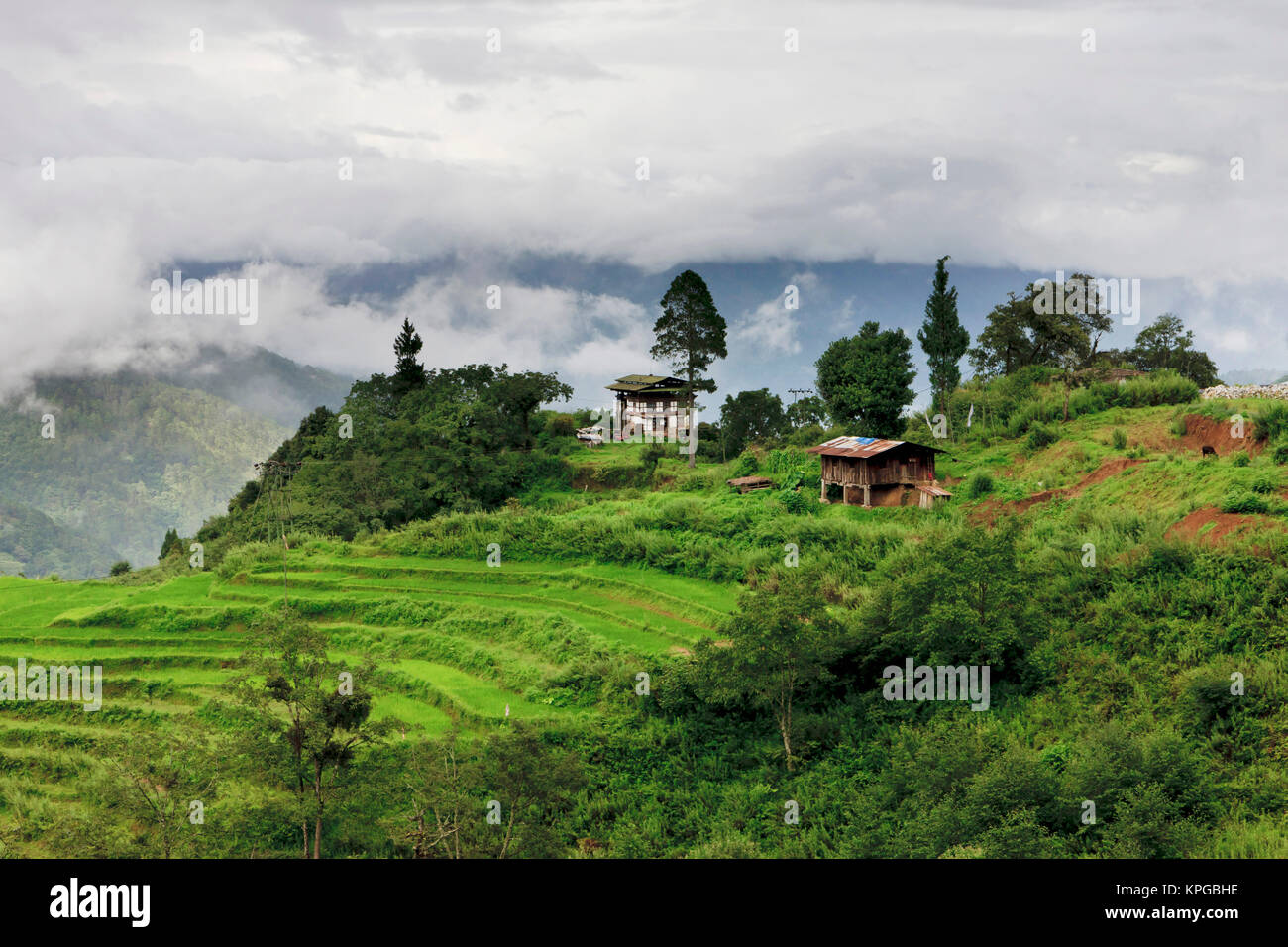 Asien, Bhutan. Reisfelder und Terrassen verteilt in allen Bereichen zwischen den Bergen. Stockfoto