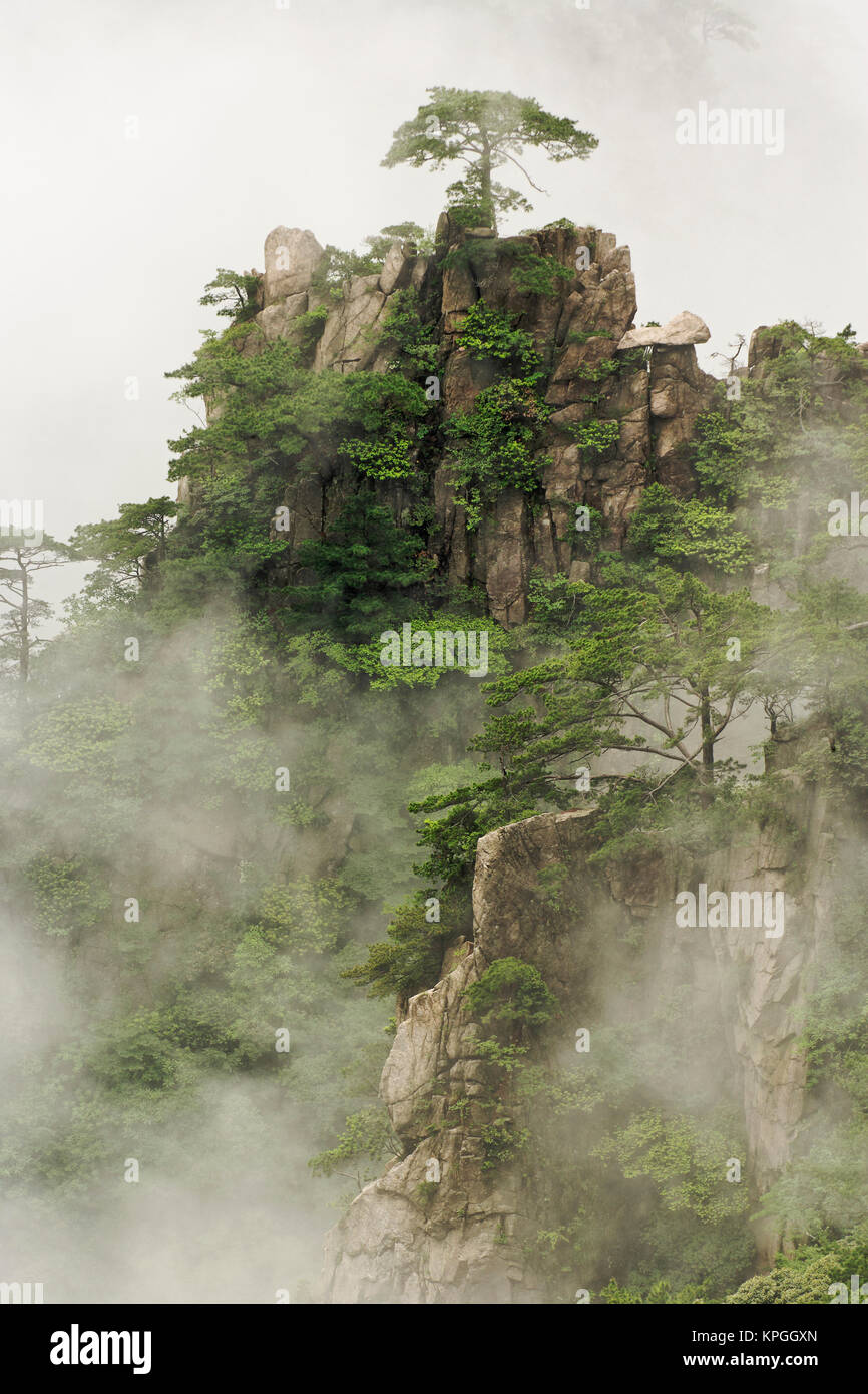 Nebel zwischen den Höhen und Tiefen des Grand Canyon im Westmeer, Mt. Huang Shan oder gelben Berg Stockfoto