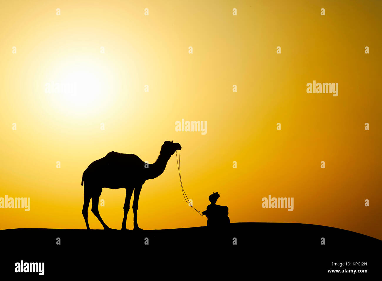 Kamel- und Kamel Fahrer bei Sonnenuntergang Silhouette, Wüste Thar, Jodhpur, Indien. Stockfoto