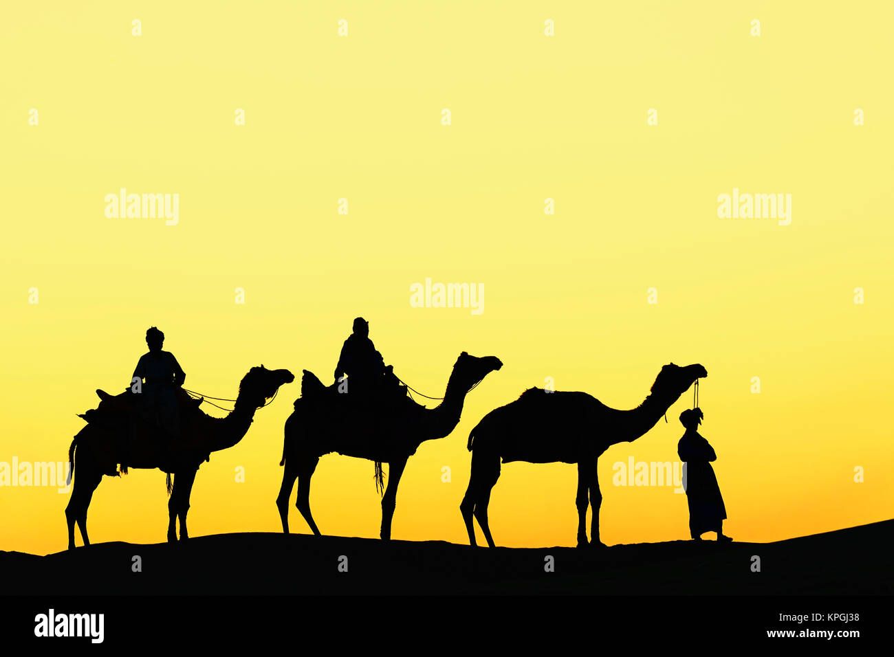 Kamele und Kamel Fahrer bei Sonnenuntergang Silhouette, Wüste Thar, Jodhpur, Indien. Stockfoto Kamele und Kamel Fahrer bei Sonnenuntergang Silhouette, Wüste Thar, Jodhpur, Indien. Stockfoto