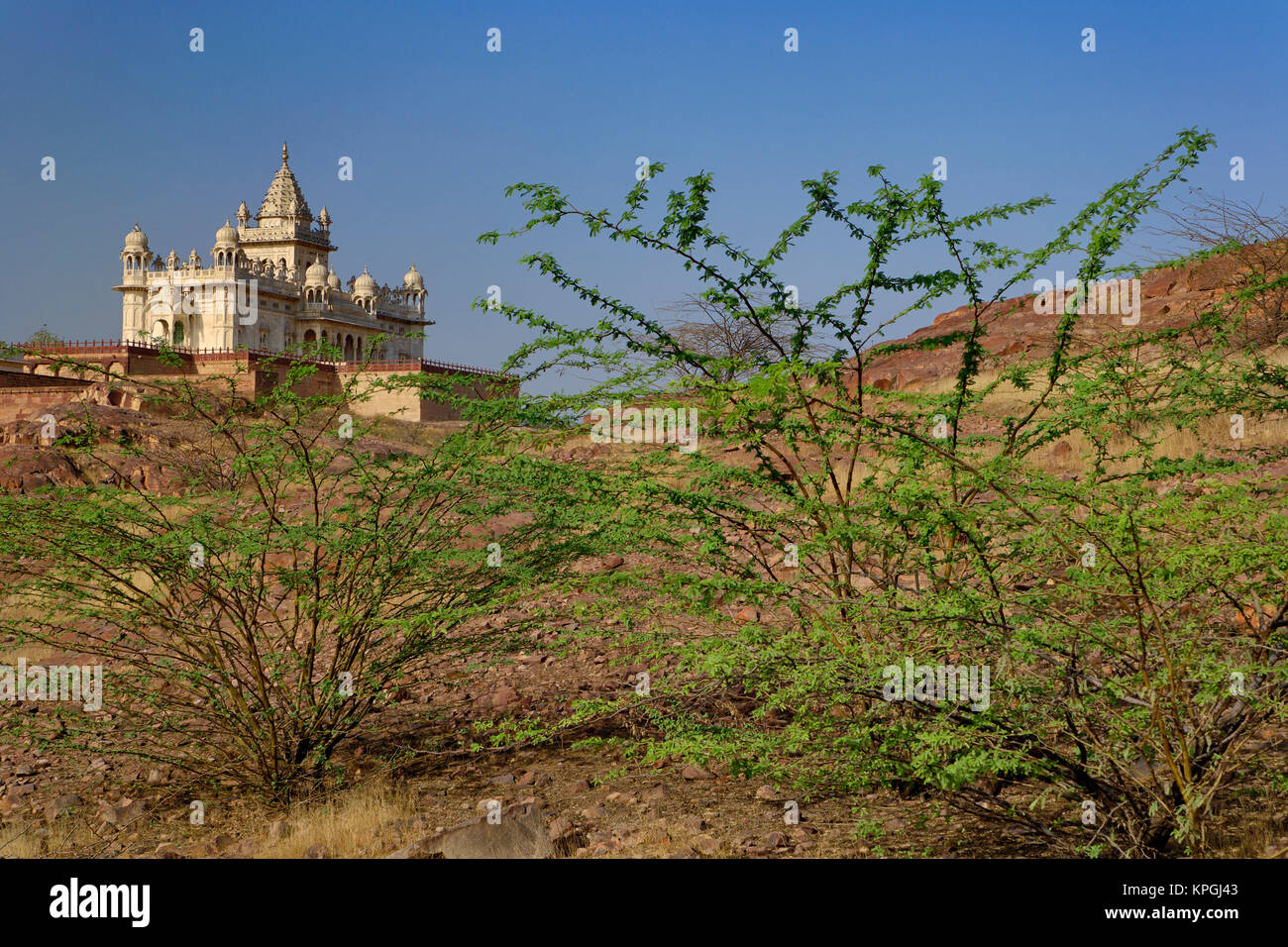 Die Jaswant Thada Mausoleum und Mehrangarh Fort, Jodhpur, Indien. Es ist ein weisses Marmor Memorial von Sardar Singh 1899 errichtet in Erinnerung an Maharja Jaswant Singh II. Das Denkmal, in seiner Gesamtheit, ist aus kunstvoll geschnitzten Blatt Marmor gebaut. Stockfoto