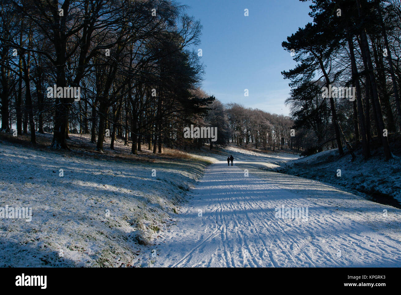 Menschen waling im Schnee im Phoenix Park in Dublin an einem wunderschönen Wintermorgen am ersten Tag des Neuen Jahres 2010 Stockfoto