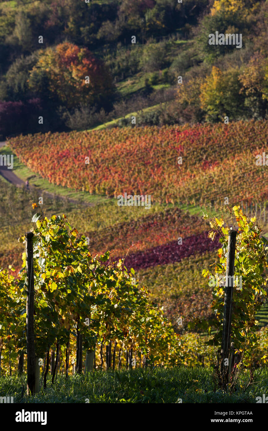 Stuttgart Uhlbach Stockfotos und bilder Kaufen Alamy