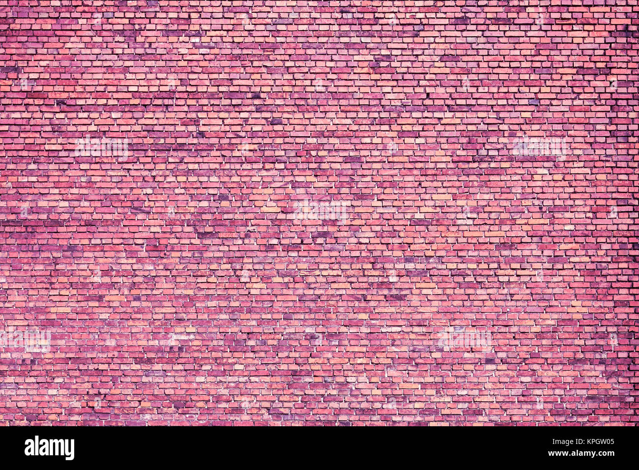 Alte Mauer, Ultra Violett getönten Bild. Stockfoto