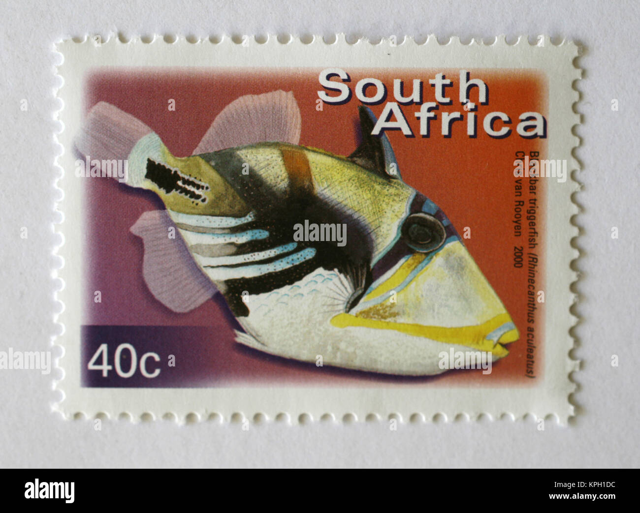 Südafrikanischer Briefmarke, Balken Drückerfisch, 40 Cent wert, Chris van Rooyen; 2000, Südafrika. Stockfoto