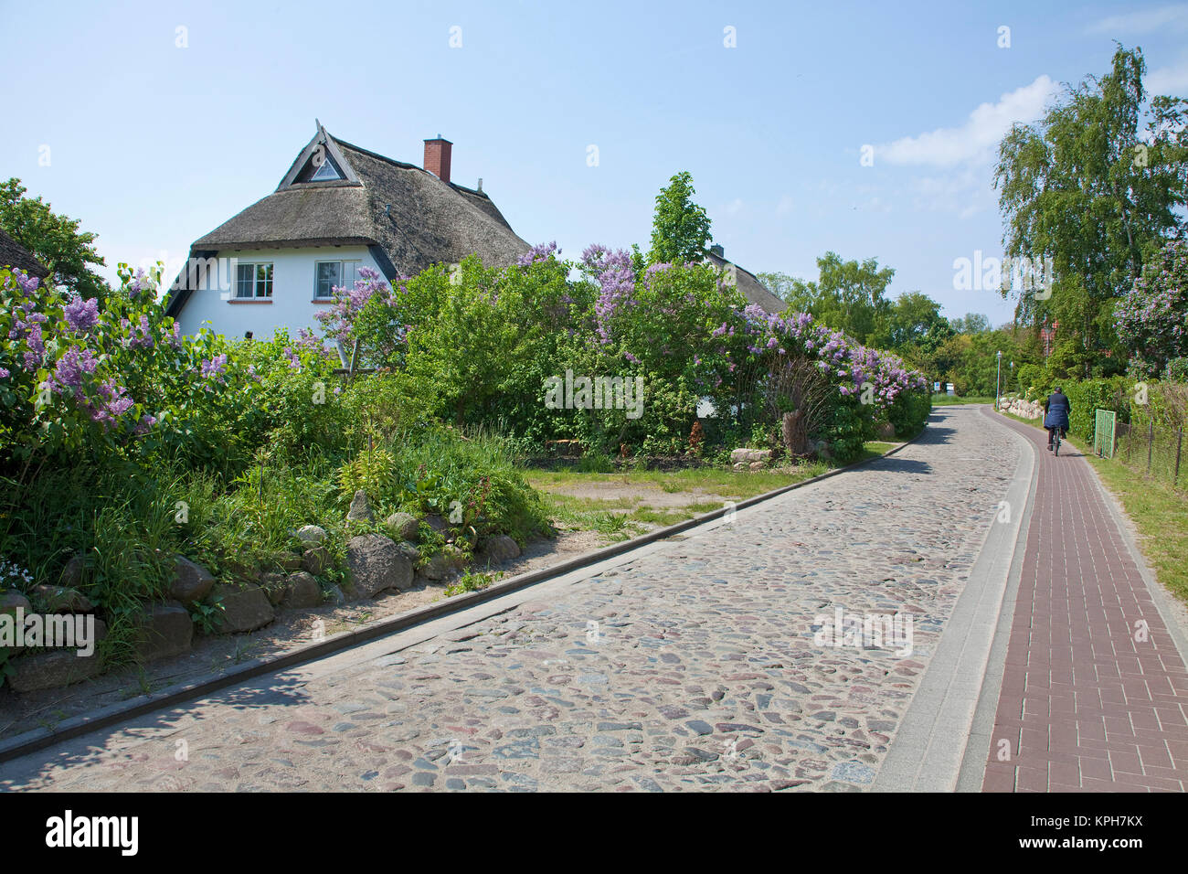 Strohgedeckte Haus an der Hauptstraße von Gross Zicker, Insel Rügen, Mecklenburg-Vorpommern, Ostsee, Deutschland, Europa Stockfoto