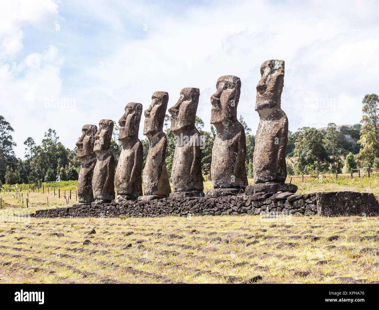 Blick auf die sieben moais von Ahu Akivi Stockfoto
