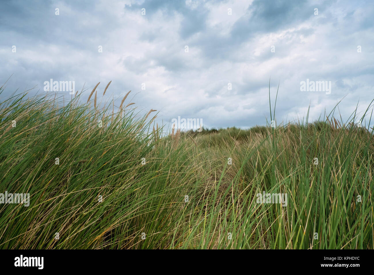 Dünen und Strand, Camber Sands, Sturz, in der Nähe von Rye, East Sussex, Großbritannien Stockfoto