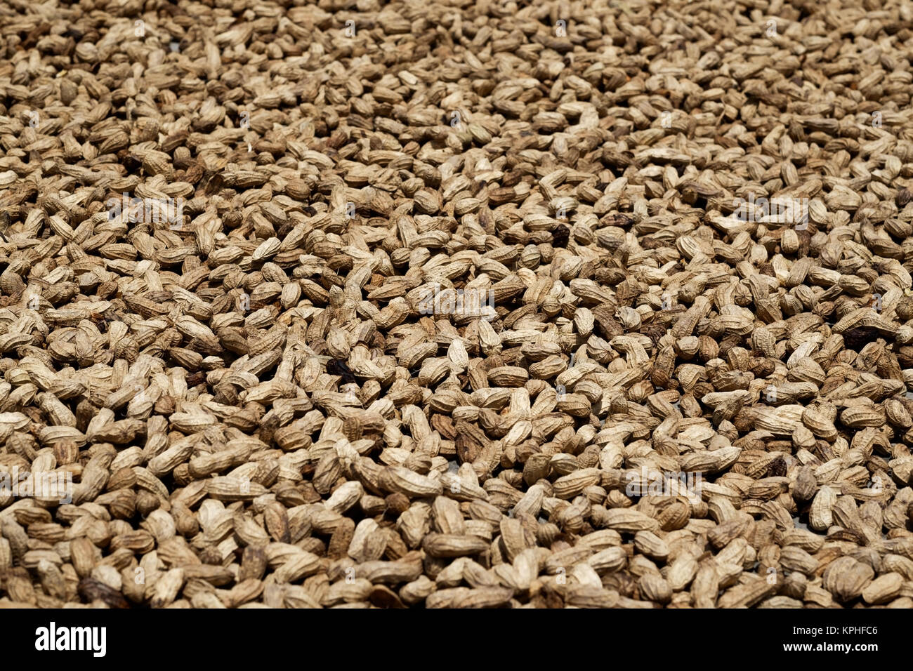 Erdnüsse Hintergrundbild. Frische ingridients der gesunden Ernährung Stockfoto