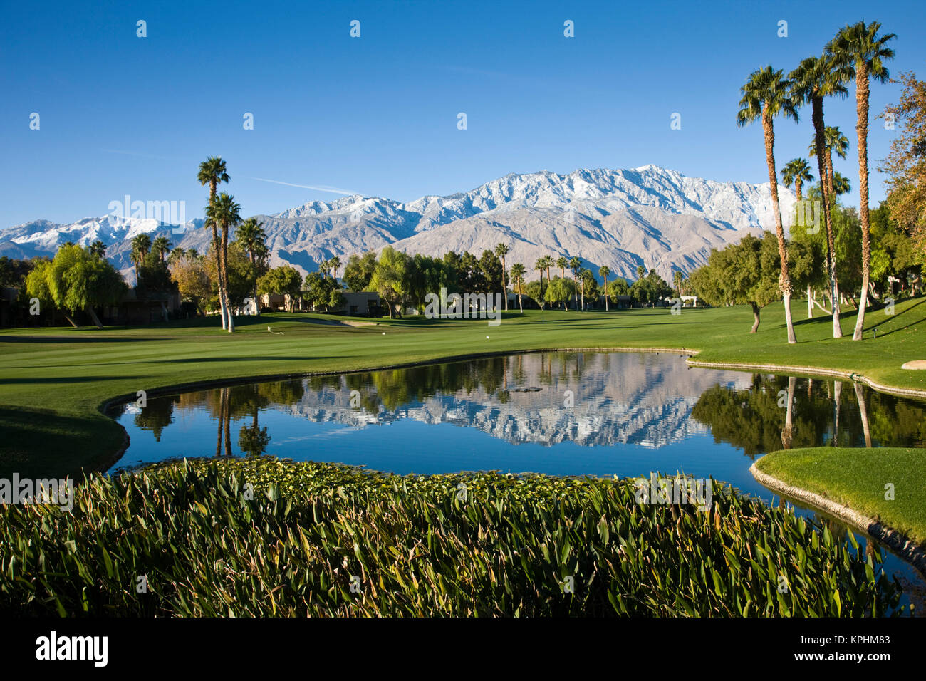 USA, Florida, Palm Springs. Desert Princess Golfkurs und Berge, Winter. Stockfoto