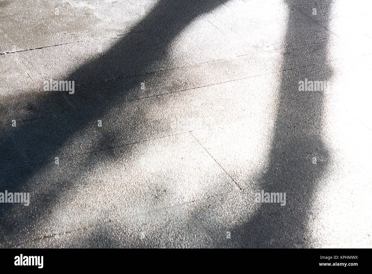 Helle winter misty Licht Schatten eines Baumes in einem feuchten glänzenden Park Pflaster Stockfoto