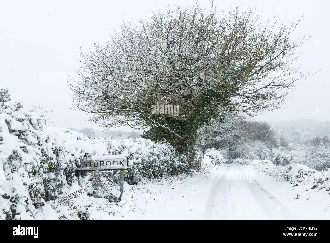 Ländliche Straße in Monmouthshire, South Wales nach einem Schneefall. Stockfoto