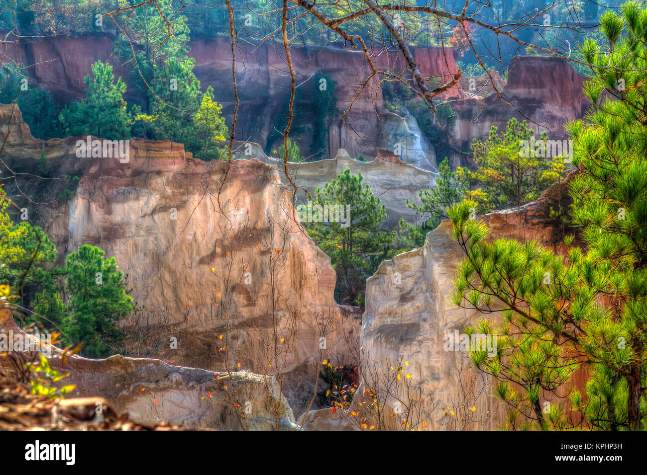 Der Providence Canyon, der oft als Little Grand Canyon in Georgia bezeichnet wird, zeigt eine surreale Landschaft aus farbenfrohen Bodenschichten im Stewart County, GA, USA Stockfoto
