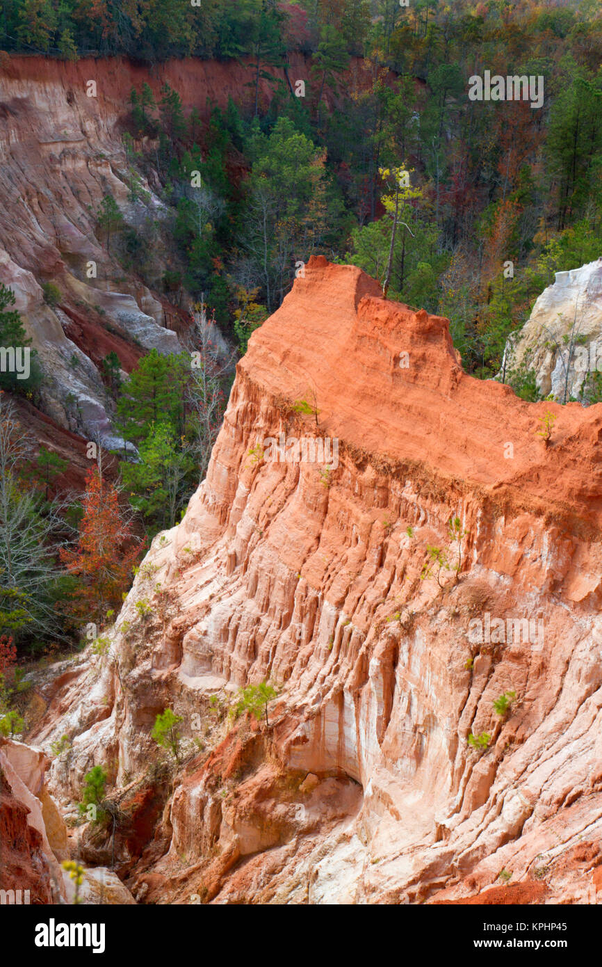 Der Providence Canyon, der oft als Little Grand Canyon in Georgia bezeichnet wird, zeigt eine surreale Landschaft aus farbenfrohen Bodenschichten im Stewart County, GA, USA Stockfoto