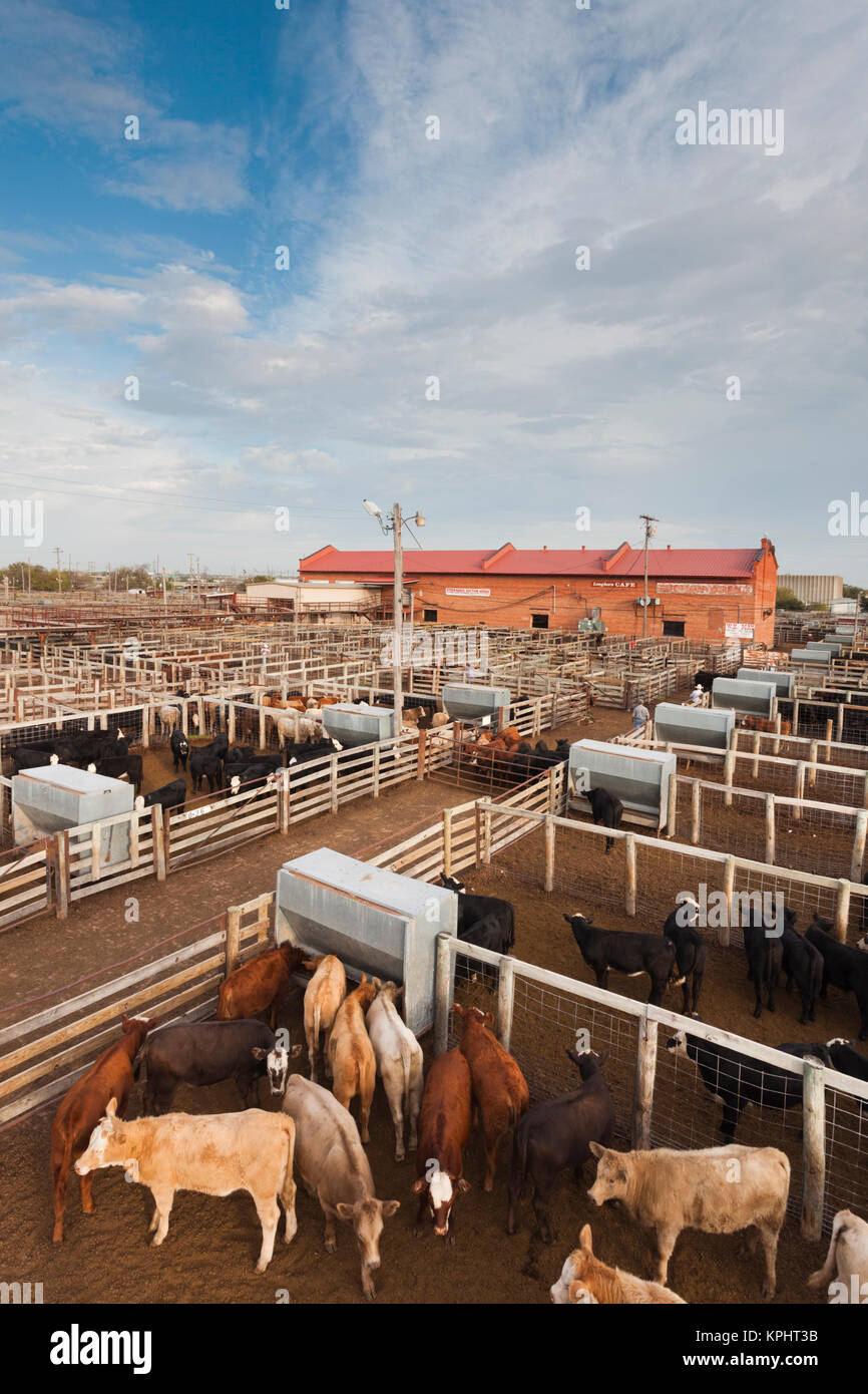 USA, Oklahoma, Oklahoma City, Oklahoma nationaler Stockyards, erhöhten Blick auf Vieh Stifte Stockfoto