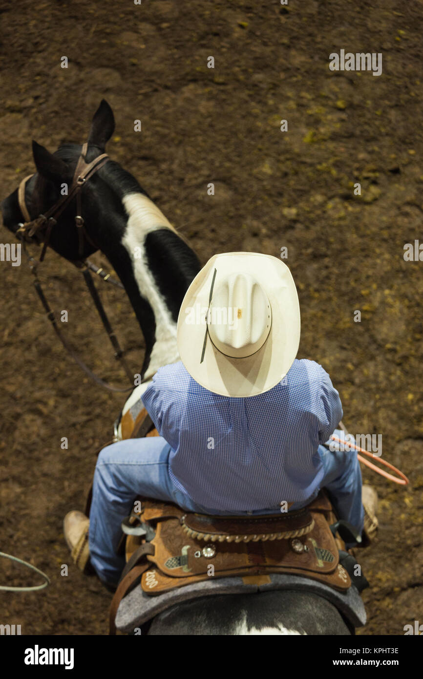 USA, Oklahoma, Oklahoma City, Oklahoma State Fair Park, Cowboy-Rodeo-Wettbewerb, cowboy Stockfoto