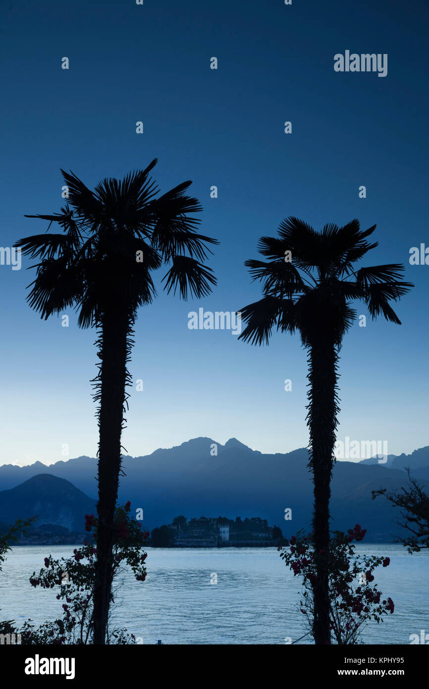 Italien, Provinz Verbano-Cusio-Ossola, Stresa. Lakefront Palmen und Isola Bella in der Abenddämmerung. Stockfoto