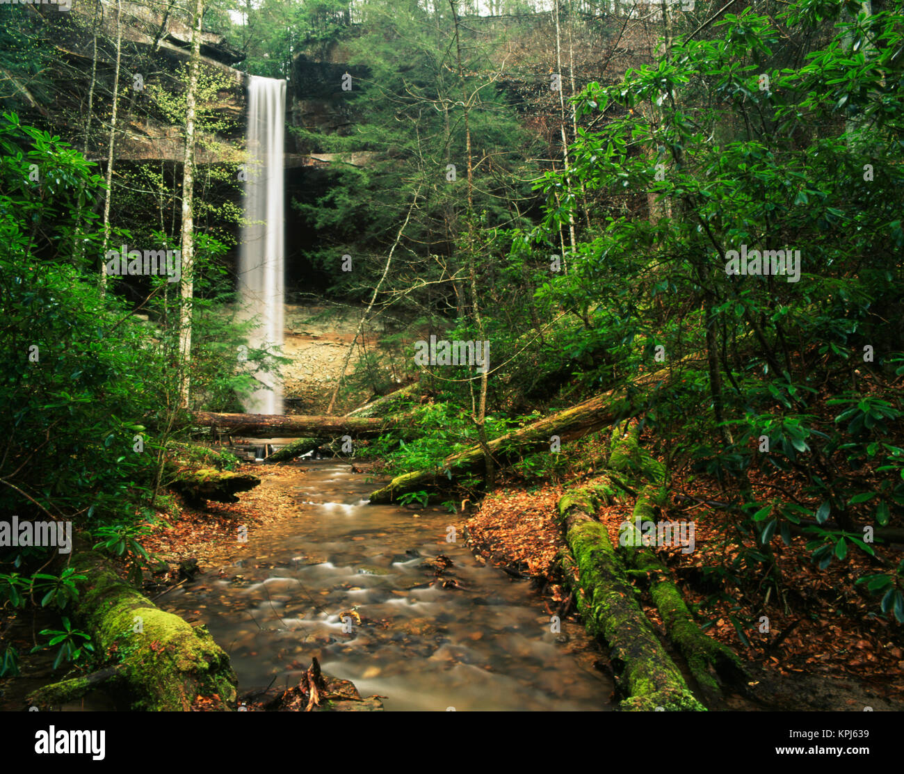 USA, Kentucky, Yahoo fällt, Big South Fork National River und Recreation Area (Large Format Größen verfügbar) Stockfoto