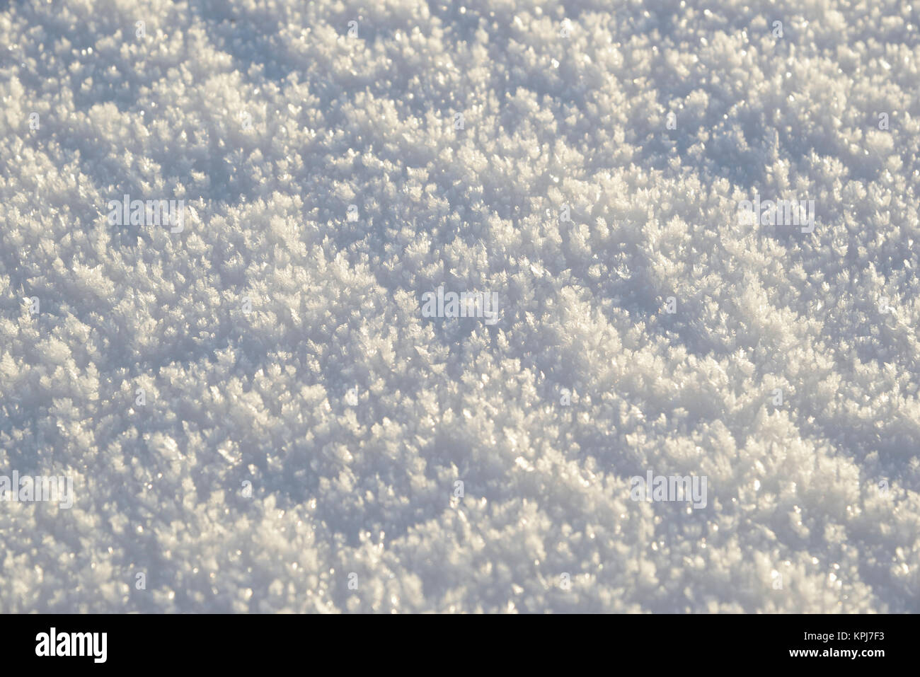 Eiskristalle, Schneekristalle, auf Schnee, Detailansicht, Deutschland Stockfoto