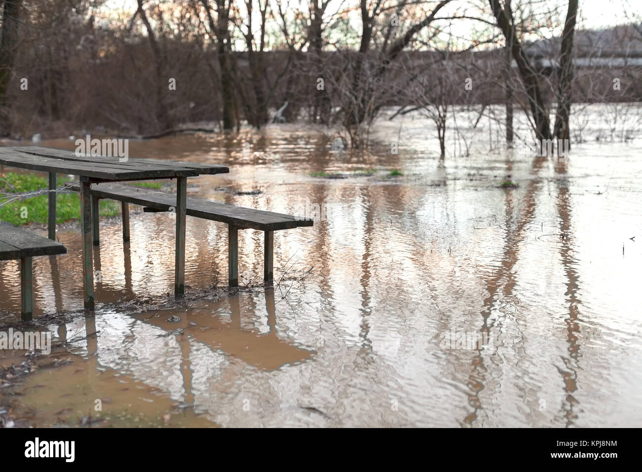 Der Fluss nach dem Unwetter kam aus der Banken. Überschwemmung Ufer, Bäume nach Hochwasser Stockfoto