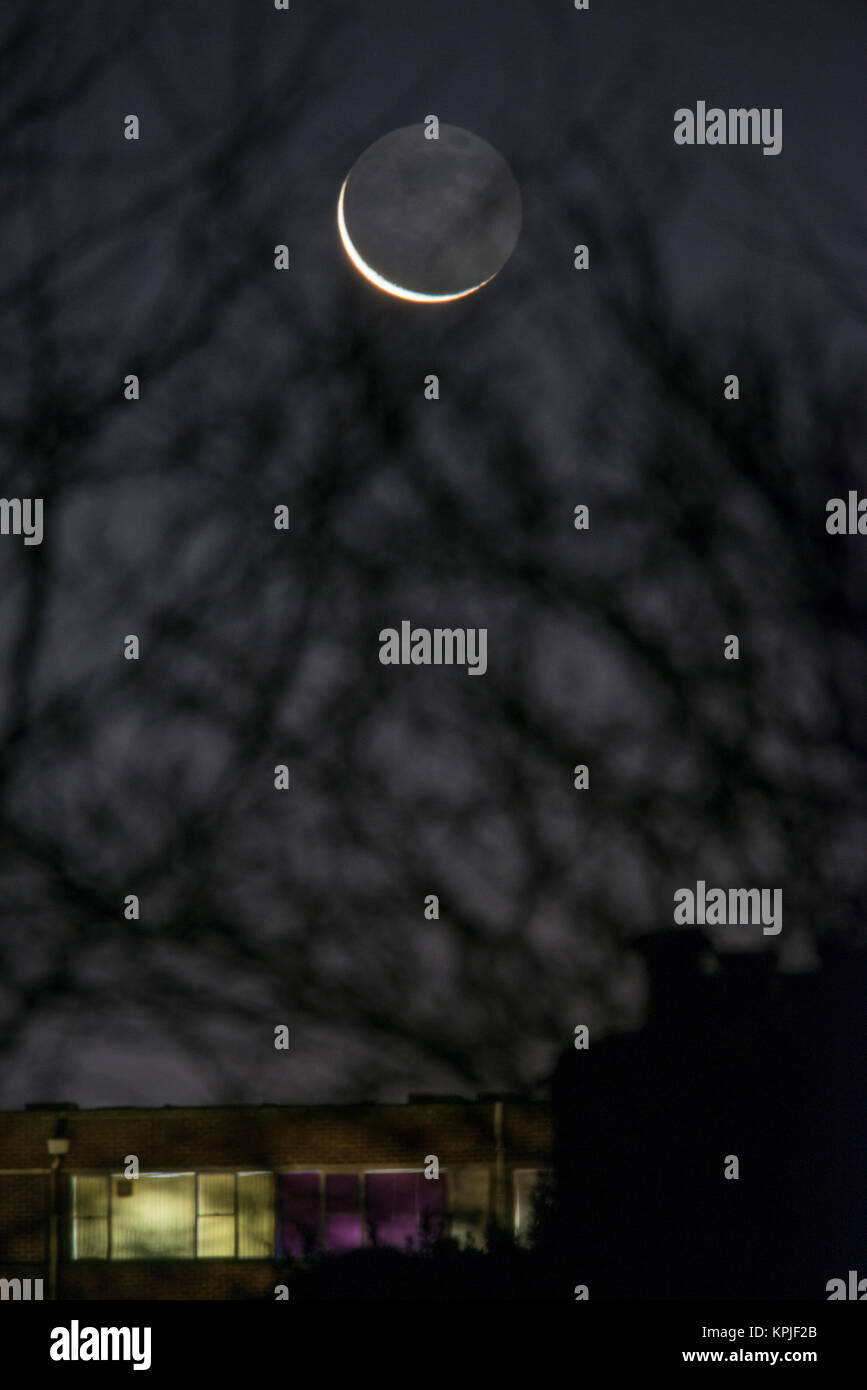 Merton, London, UK. 16. Dezember, 2017. 3 % beleuchtete abnehmenden Halbmond Mond mit erdschein steigt über South West London in klaren Frosty am frühen Morgen Himmel durch die Zweige eines Baumes. Credit: Malcolm Park/Alamy leben Nachrichten Stockfoto