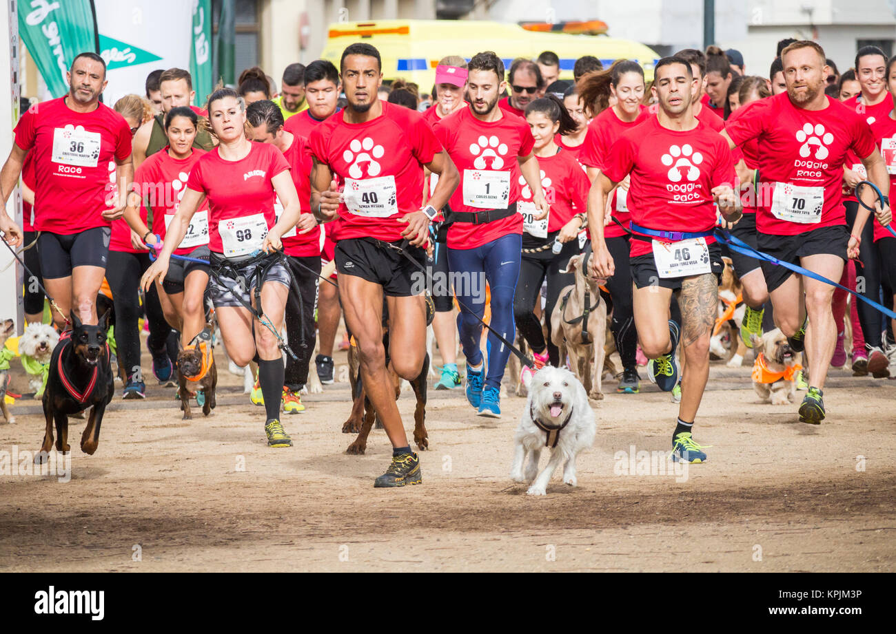 Canicross Rennen/Fun Run in Spanien Stockfoto