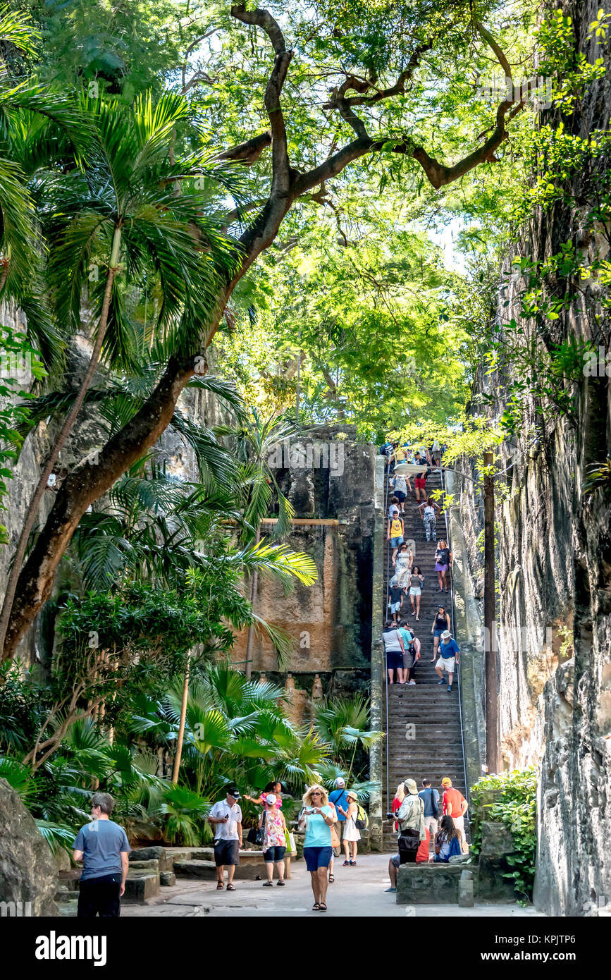 Touristen absteigen Queen's Treppe im Schatten der üppigen Bäumen in Nassau, Bahamas; es ist eine obere touristische Aktivität in Nassau, ein beliebter Hafen. Stockfoto