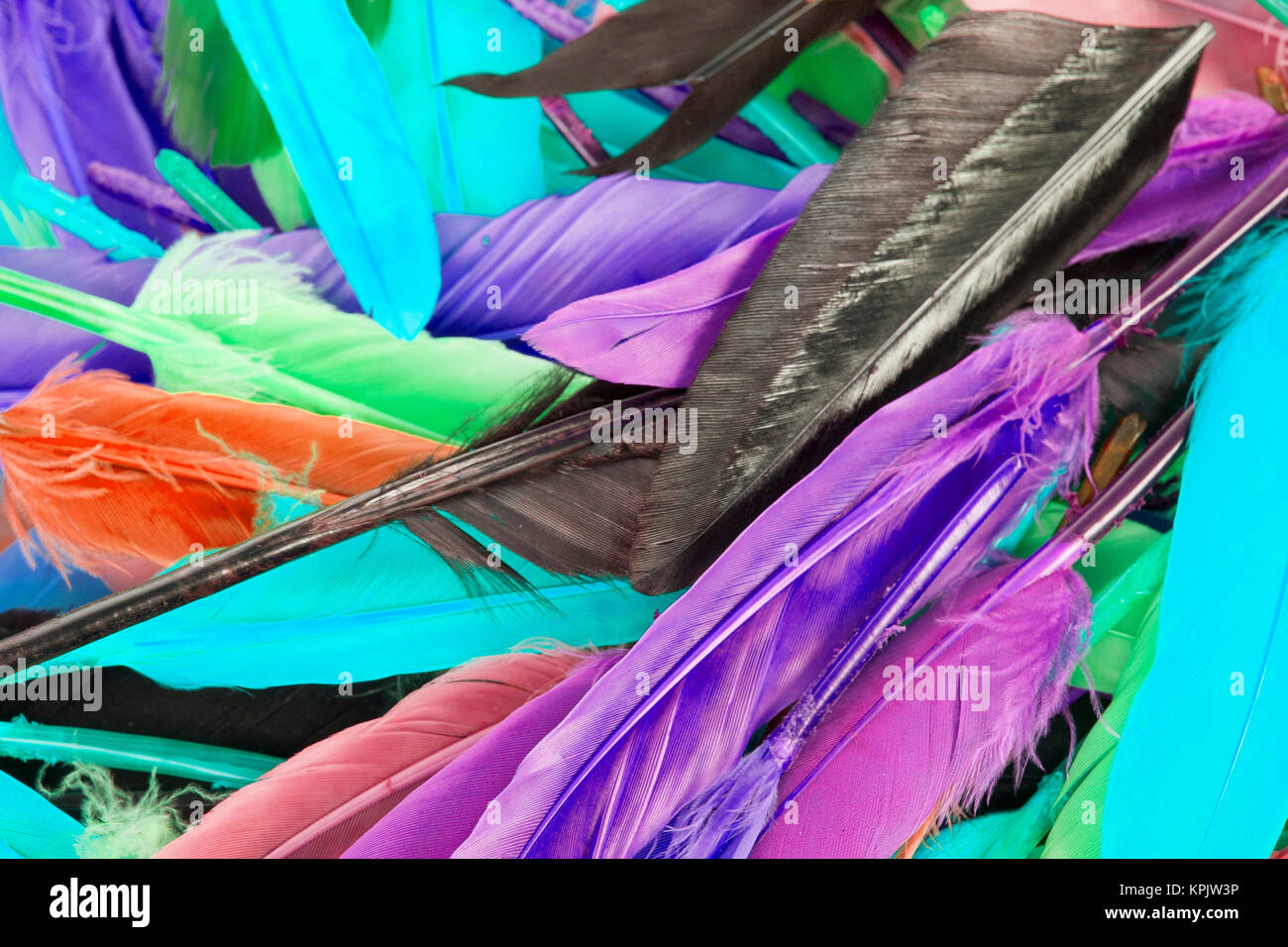 Bunte Feder rainbow Vogelfedern. Ente Gans Taube parrot Lagerträger feathres... Regenbogen farbigen Hintergrund. Abstrakt. Stockfoto