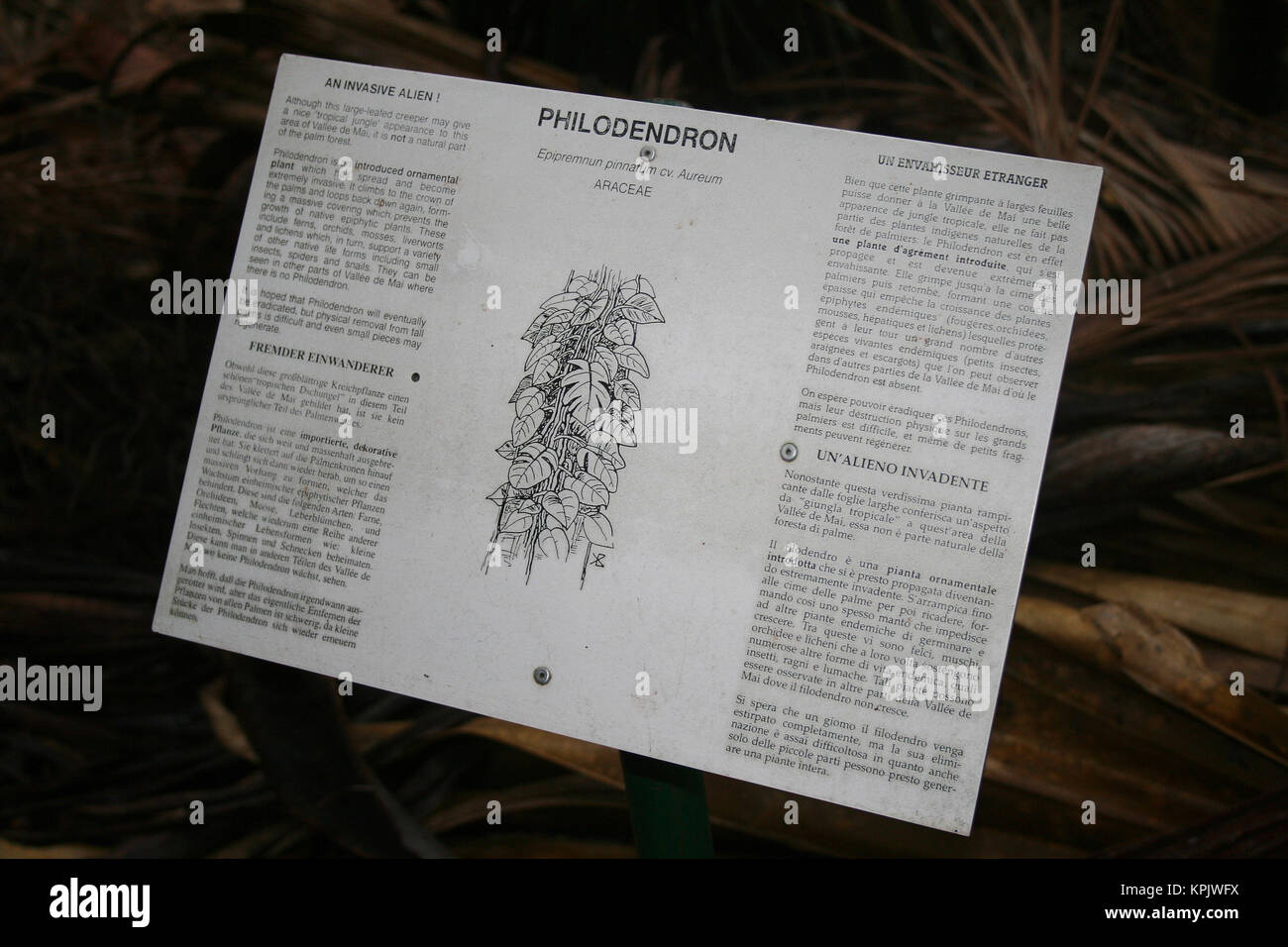 Metallplakette board Anzeige von Informationen über die invasive Arten Efeu Philodendron in Englisch, Deutsch, Französisch und Italienisch, Insel Praslin, Seychell Stockfoto