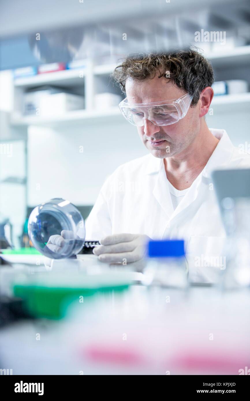 Männliche Labor mit mini Zentrifuge assistant. Stockfoto