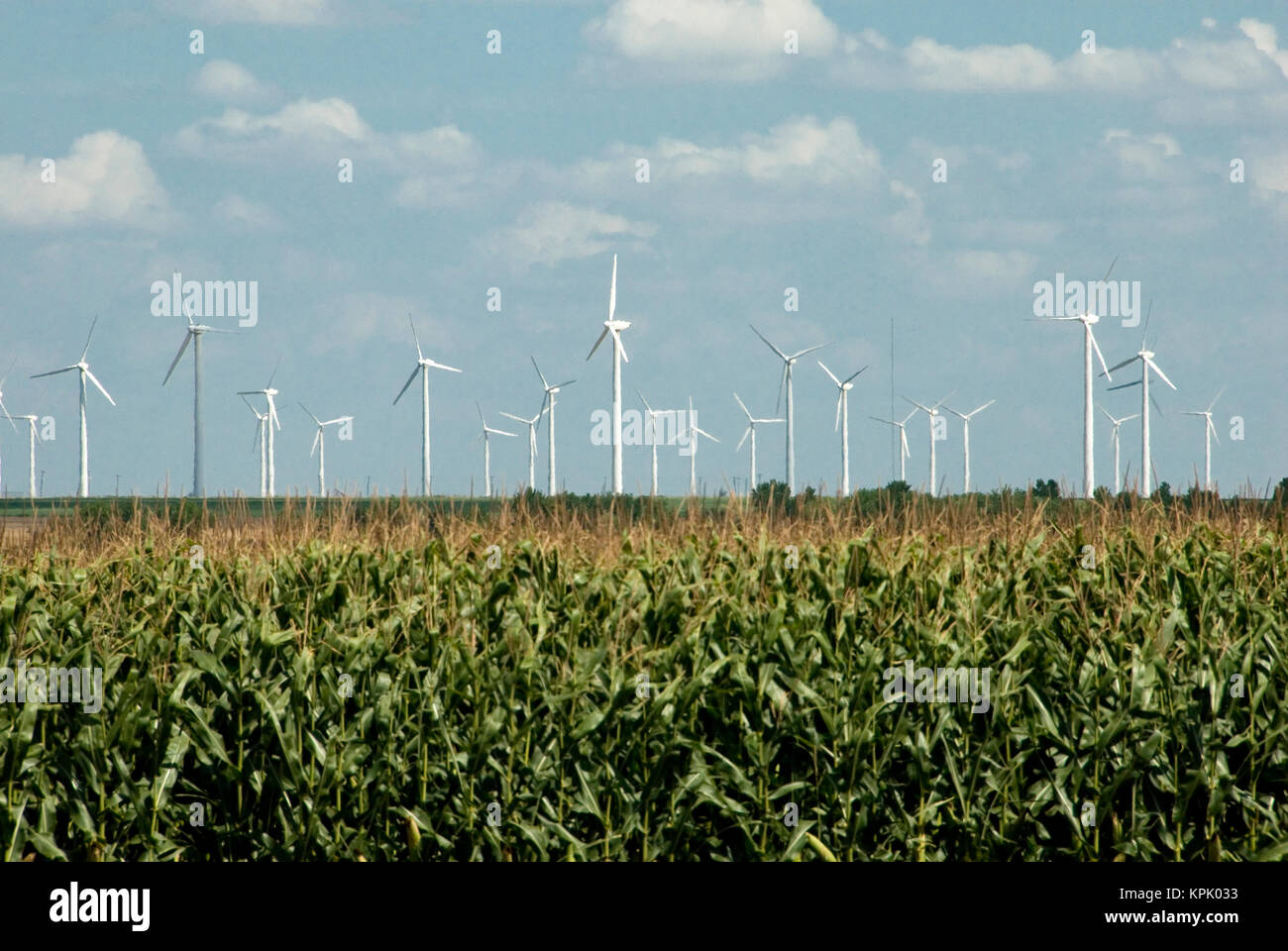 Zwei alternative Energiequellen: WIND UND Windmühlen oder Generatoren und Mais für Ethanol Stockfoto