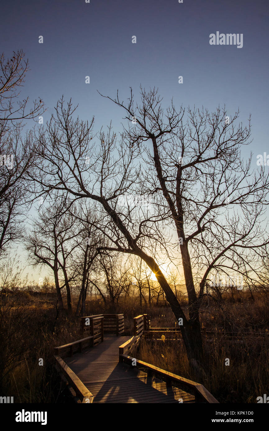 Goldene Stunde Wanderung Stockfoto