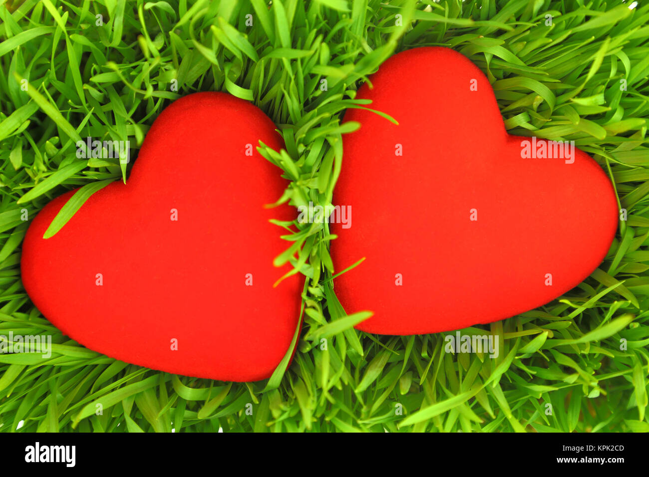 Zwei rote Herzen auf grünem Gras Hintergrund Stockfoto