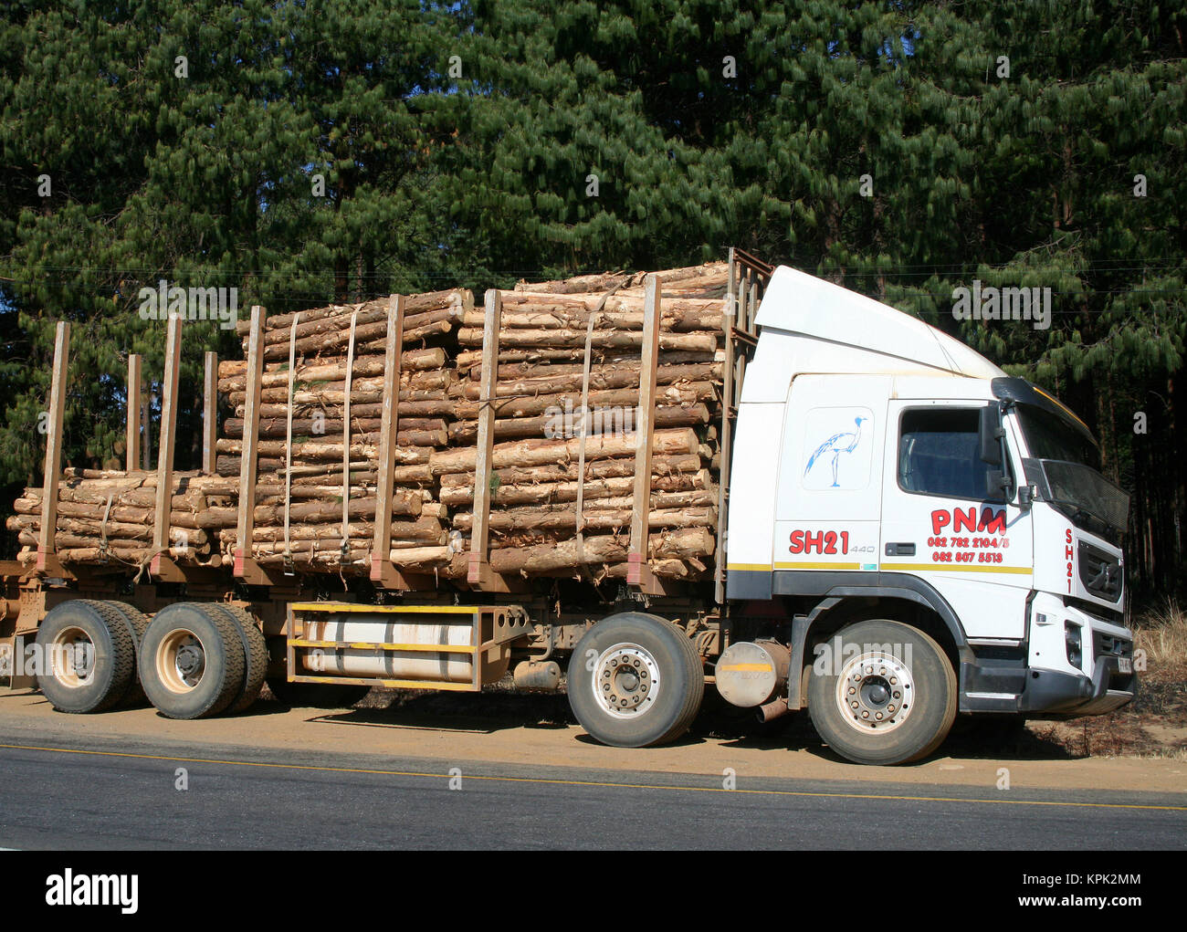 Holz träger Lkw auf der Seite der Straße geparkt, Königreich Swasiland. Stockfoto