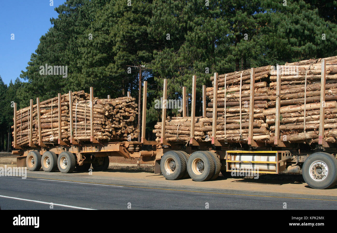 Holz träger Lkw auf der Seite der Straße geparkt, Königreich Swasiland. Stockfoto